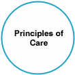 Principles Of Care